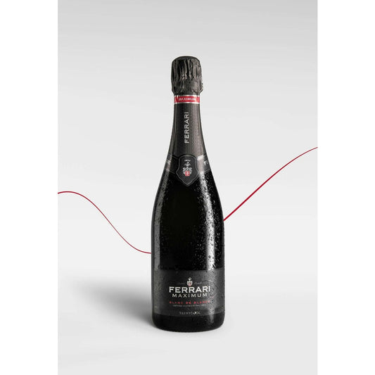 FERRARI MAXIMUM BLANC DE BLANCS
TRENTODOC - 0,75L